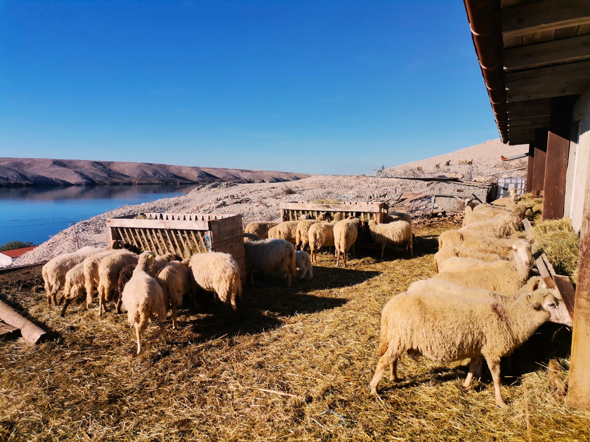 KAM projekti — s terena